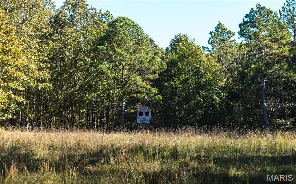 5479 Eisenhower Drive Zalma, MO 63787 - Photo 26 of 63