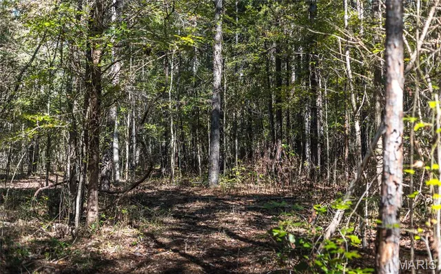 $2,990,000 | 5479 Eisenhower Drive, Zalma, MO 63787