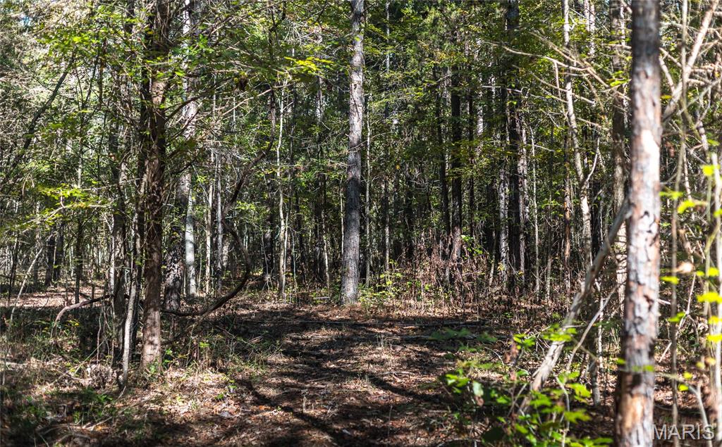 5479 Eisenhower Drive Zalma, MO 63787 - Photo 27 of 63