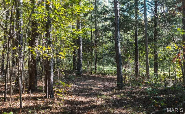 $2,990,000 | 5479 Eisenhower Drive, Zalma, MO 63787