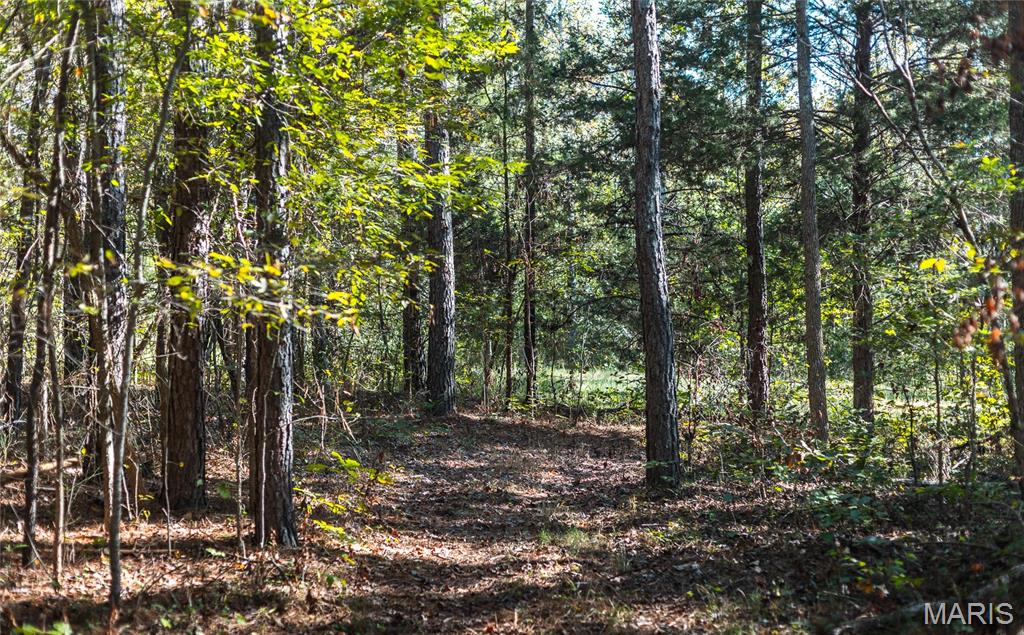 5479 Eisenhower Drive Zalma, MO 63787 - Photo 28 of 63