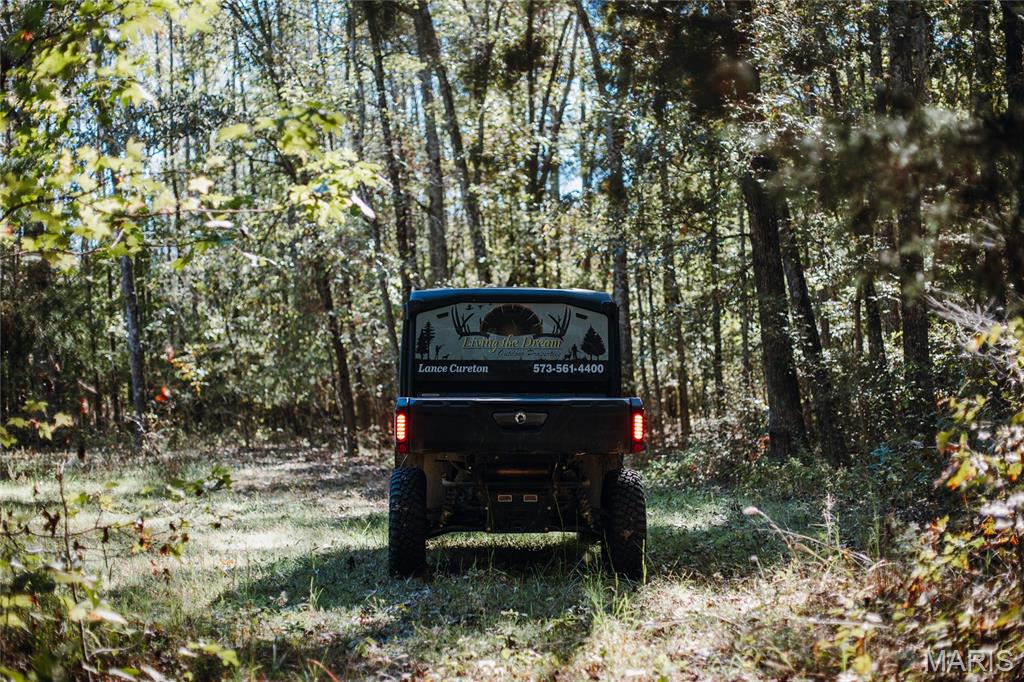 5479 Eisenhower Drive Zalma, MO 63787 - Photo 29 of 63