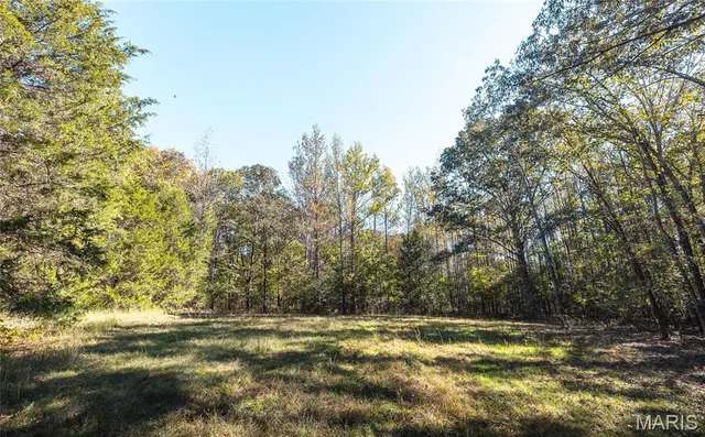 $2,990,000 | 5479 Eisenhower Drive, Zalma, MO 63787