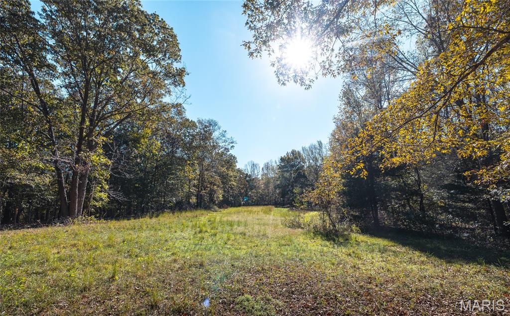 5479 Eisenhower Drive Zalma, MO 63787 - Photo 31 of 63