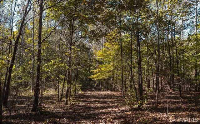 $2,990,000 | 5479 Eisenhower Drive, Zalma, MO 63787