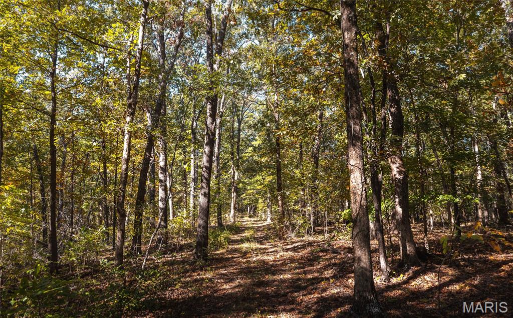 5479 Eisenhower Drive Zalma, MO 63787 - Photo 33 of 63