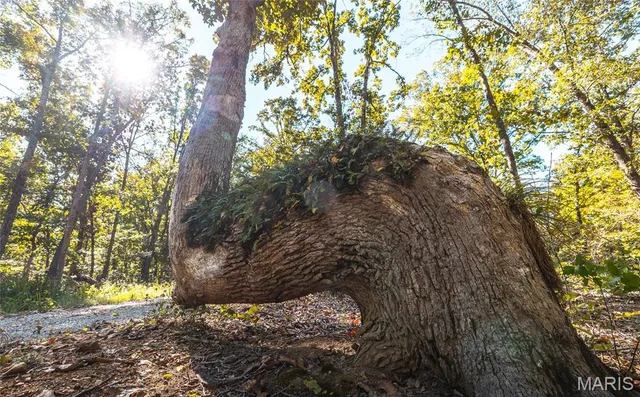 $2,990,000 | 5479 Eisenhower Drive, Zalma, MO 63787