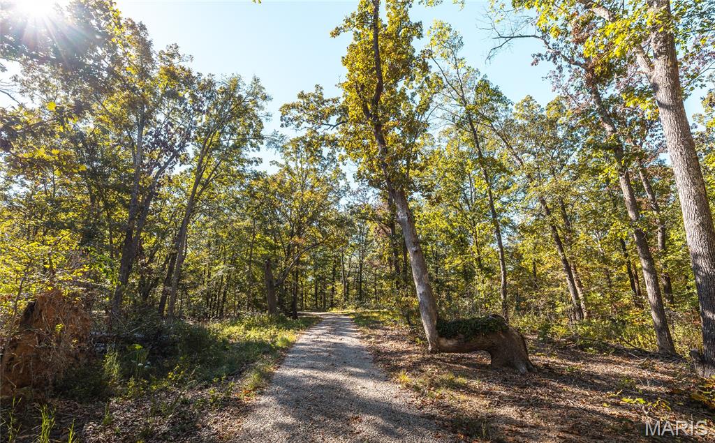 5479 Eisenhower Drive Zalma, MO 63787 - Photo 35 of 63