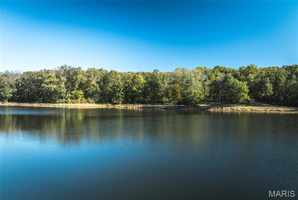 5479 Eisenhower Drive Zalma, MO 63787 - Photo 4 of 63