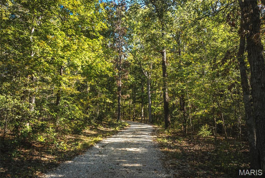 5479 Eisenhower Drive Zalma, MO 63787 - Photo 7 of 63