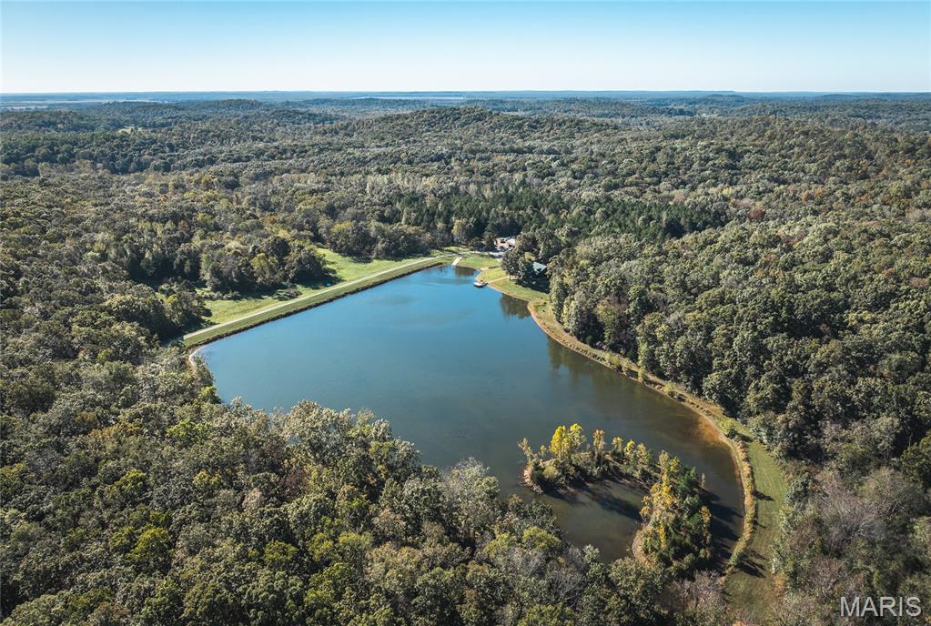 5479 Eisenhower Drive Zalma, MO 63787 - Photo 9 of 63