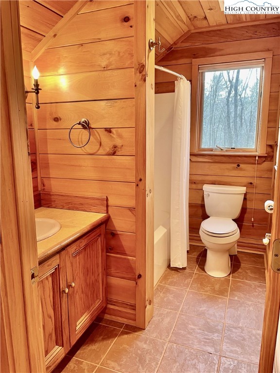 541 Woodland Ridge Lansing, NC 28643 - Photo 41 of 45 a bathroom with a toilet and a shower