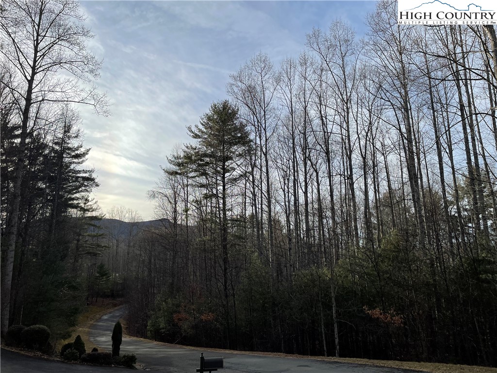 541 Woodland Ridge Lansing, NC 28643 - Photo 44 of 45 a view of a city