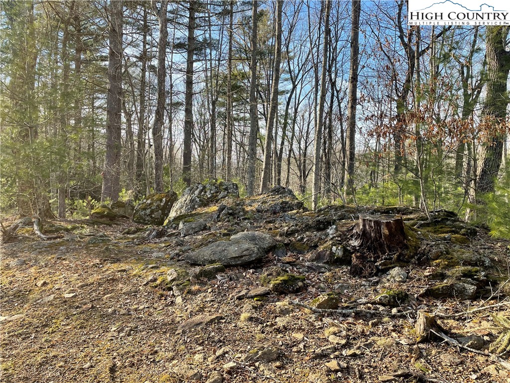 541 Woodland Ridge Lansing, NC 28643 - Photo 45 of 45 a view of outdoor space with lots of trees