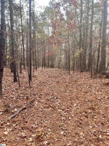 $49,970 | 0 Harris Springs Road, Cross Hill, SC 29332
