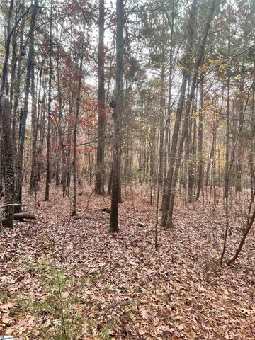 $49,970 | 0 Harris Springs Road, Cross Hill, SC 29332