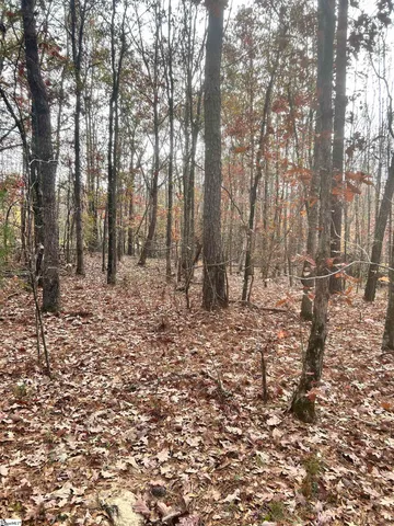 $49,970 | 0 Harris Springs Road, Cross Hill, SC 29332
