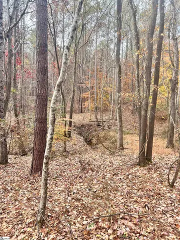 $49,970 | 0 Harris Springs Road, Cross Hill, SC 29332