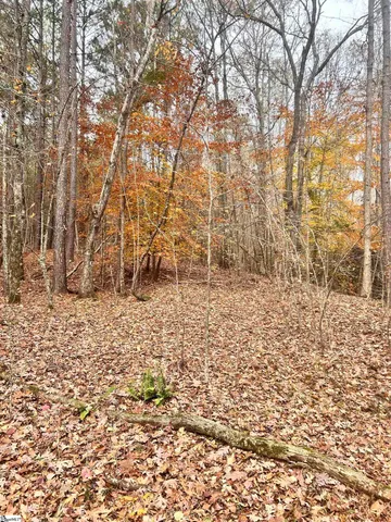 $49,970 | 0 Harris Springs Road, Cross Hill, SC 29332