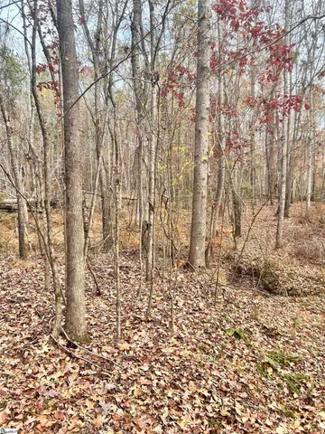 $49,970 | 0 Harris Springs Road, Cross Hill, SC 29332