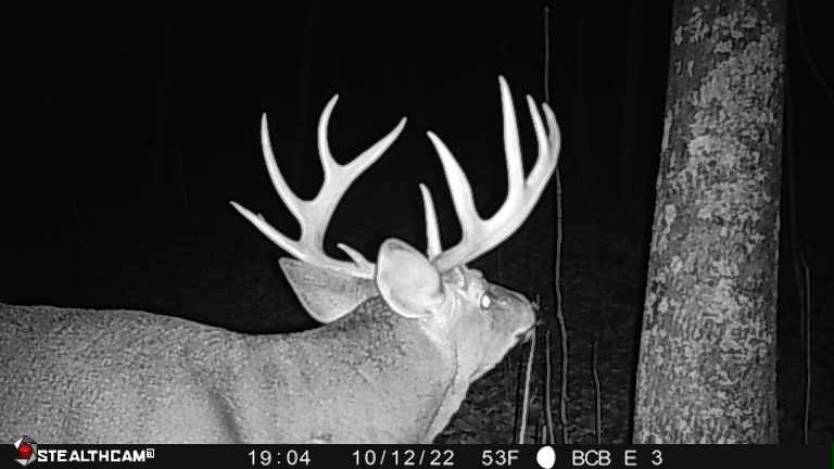 0 County Rd C Hillsboro, WI 54634 - Photo 1 of 1 Gallery Image 1