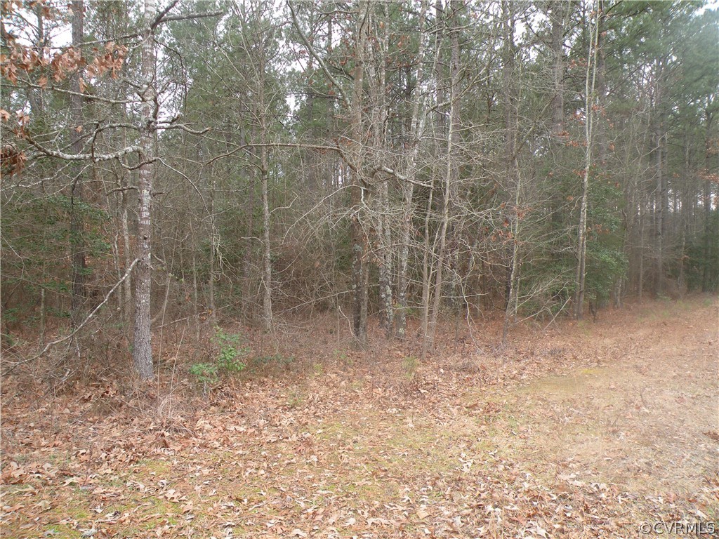 Lot 8 Loco School Road Stony Creek, VA 23882 - Photo 2 of 3