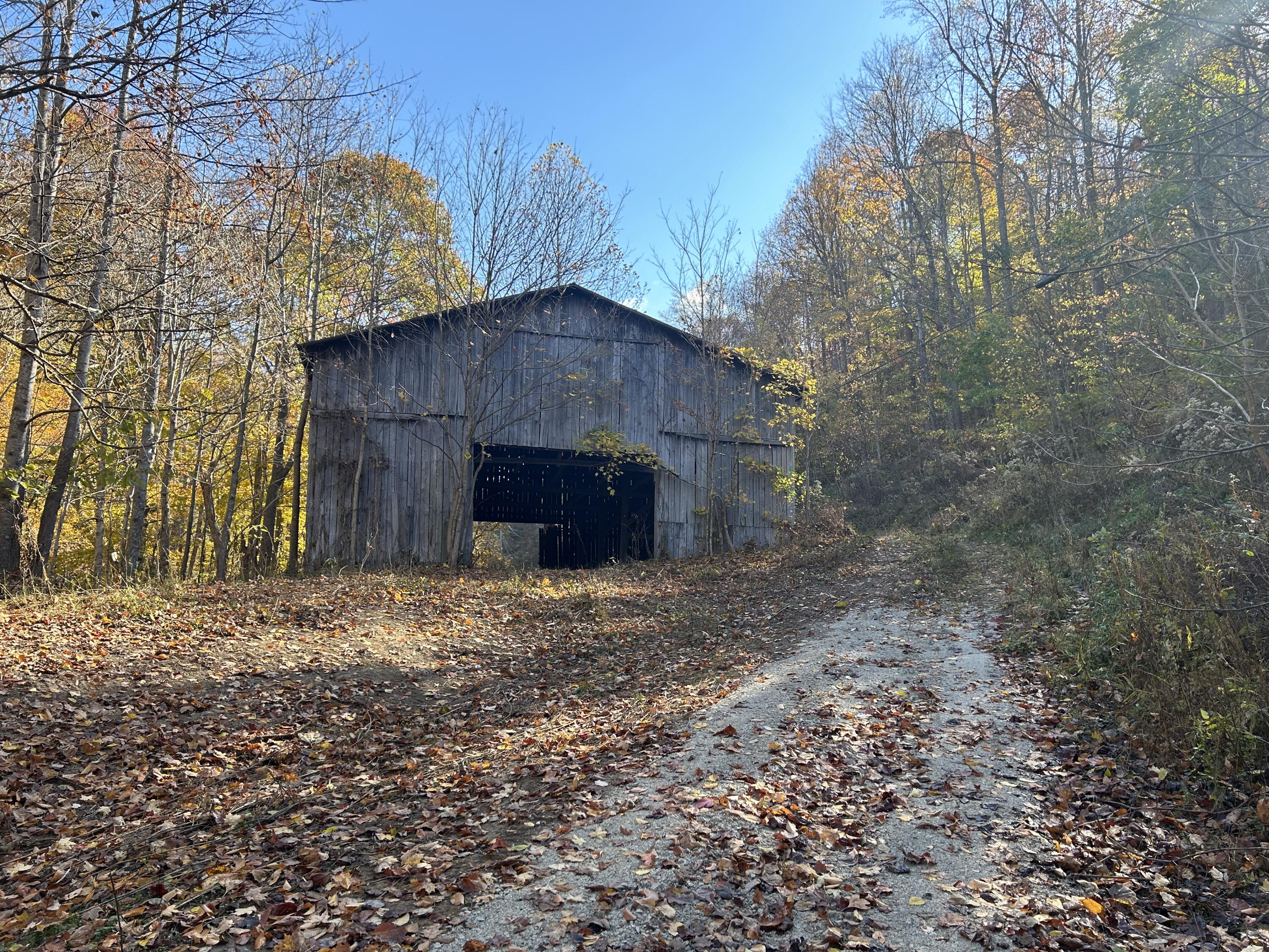0 Gander Branch Road Vanceburg, KY 41179 - Photo 7 of 45 IMG_0165