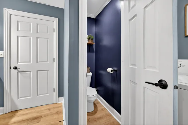 a view of a flower in a garden