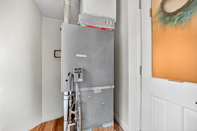 a view of a bunch of flowers