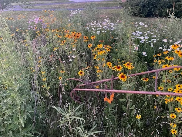 $305,000 | 1408 North Us Highway, Lostant, IL 61334