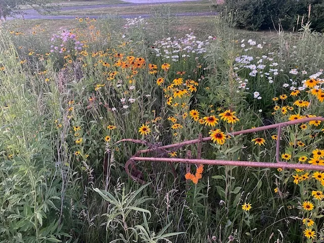 $300,000 | 1408 North Us Highway, Lostant, IL 61334