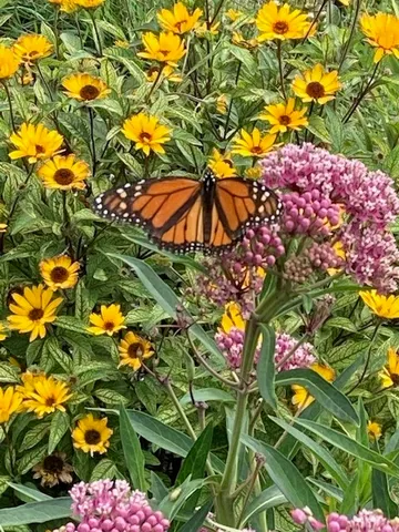 $300,000 | 1408 North Us Highway, Lostant, IL 61334