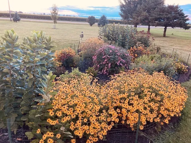 $300,000 | 1408 North Us Highway, Lostant, IL 61334