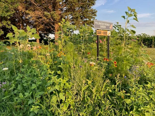 $300,000 | 1408 North Us Highway, Lostant, IL 61334