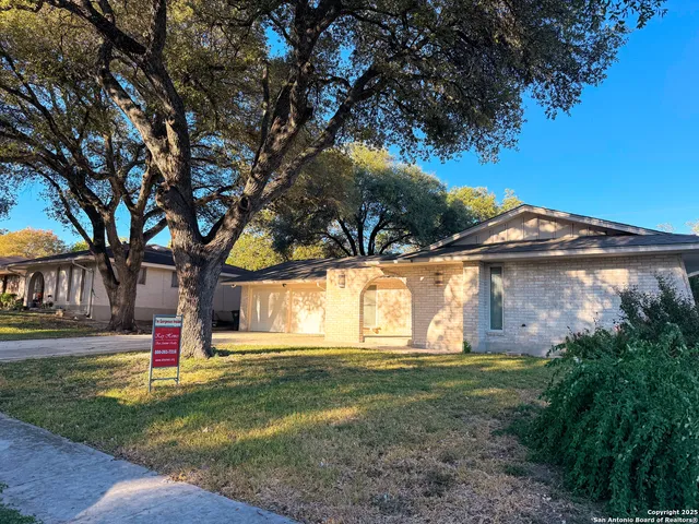 a view of yard with tree s