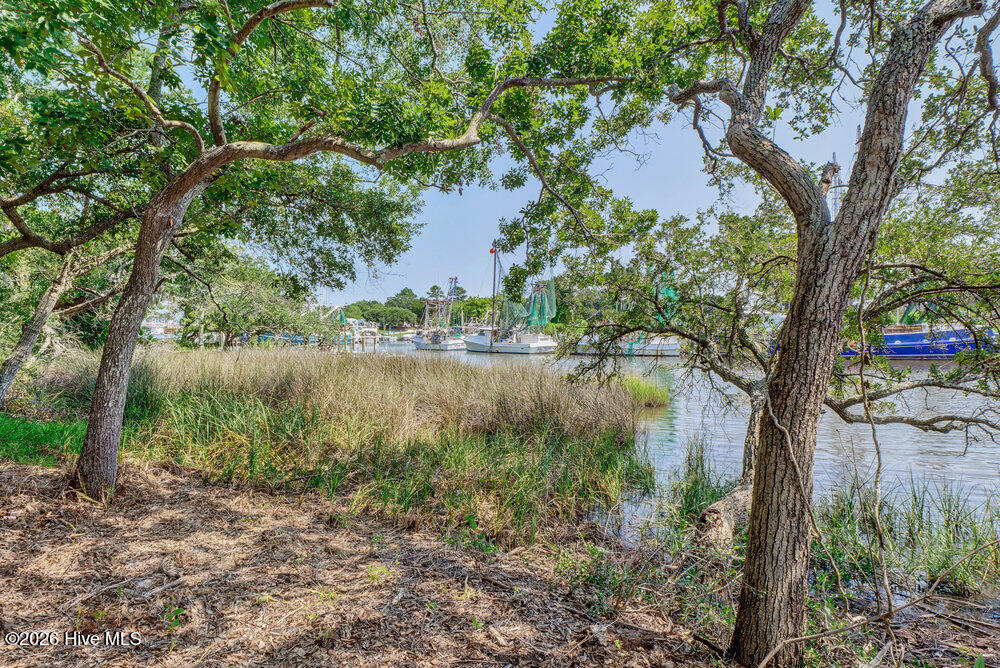 206 Longleaf Road Sneads Ferry, NC 28460 - Photo 59 of 65 048_p8922288_89_90_91_92_93_94