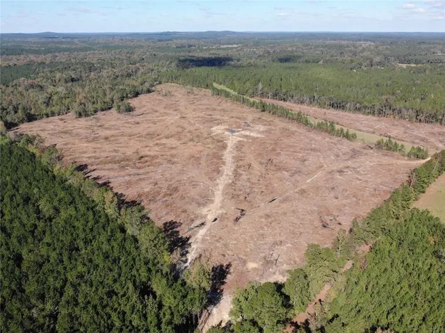 $200,000 | 0 Domino Road, Simsboro, LA 71275