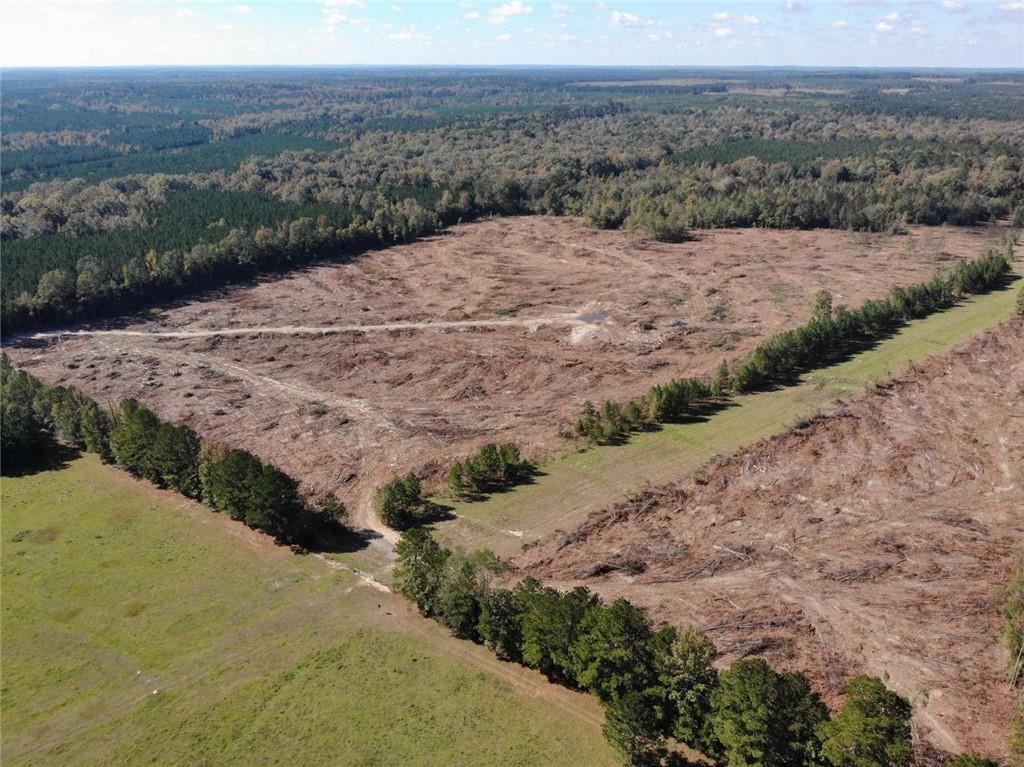 0 Domino Road Simsboro, LA 71275 - Photo 2 of 6