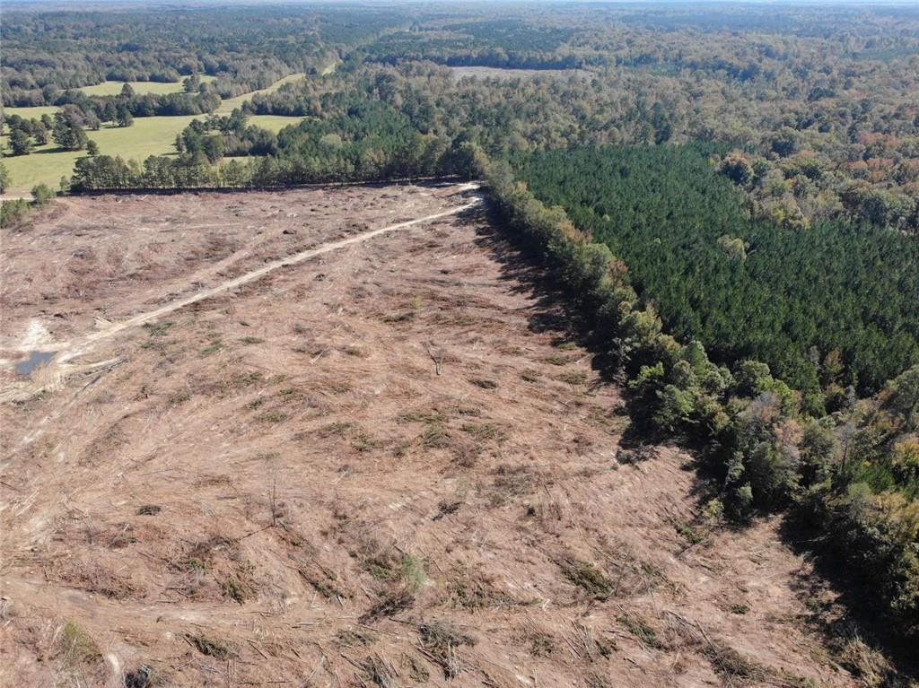 0 Domino Road Simsboro, LA 71275 - Photo 3 of 6