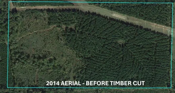 $200,000 | 251 Domino Road, Simsboro, LA 71275