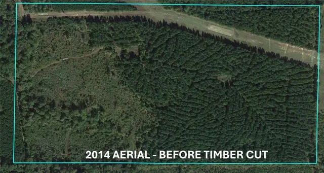 $200,000 | 0 Domino Road, Simsboro, LA 71275