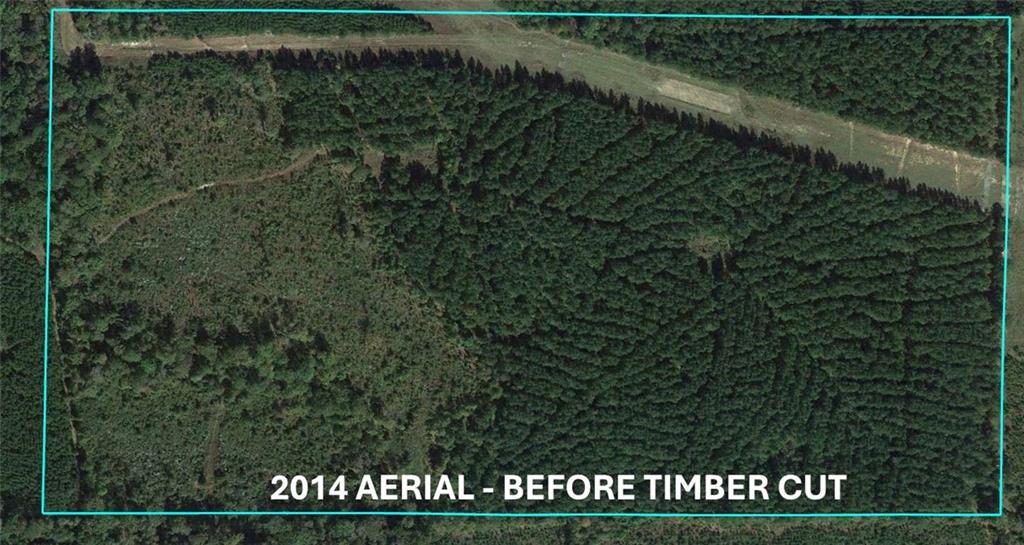 0 Domino Road Simsboro, LA 71275 - Photo 5 of 6