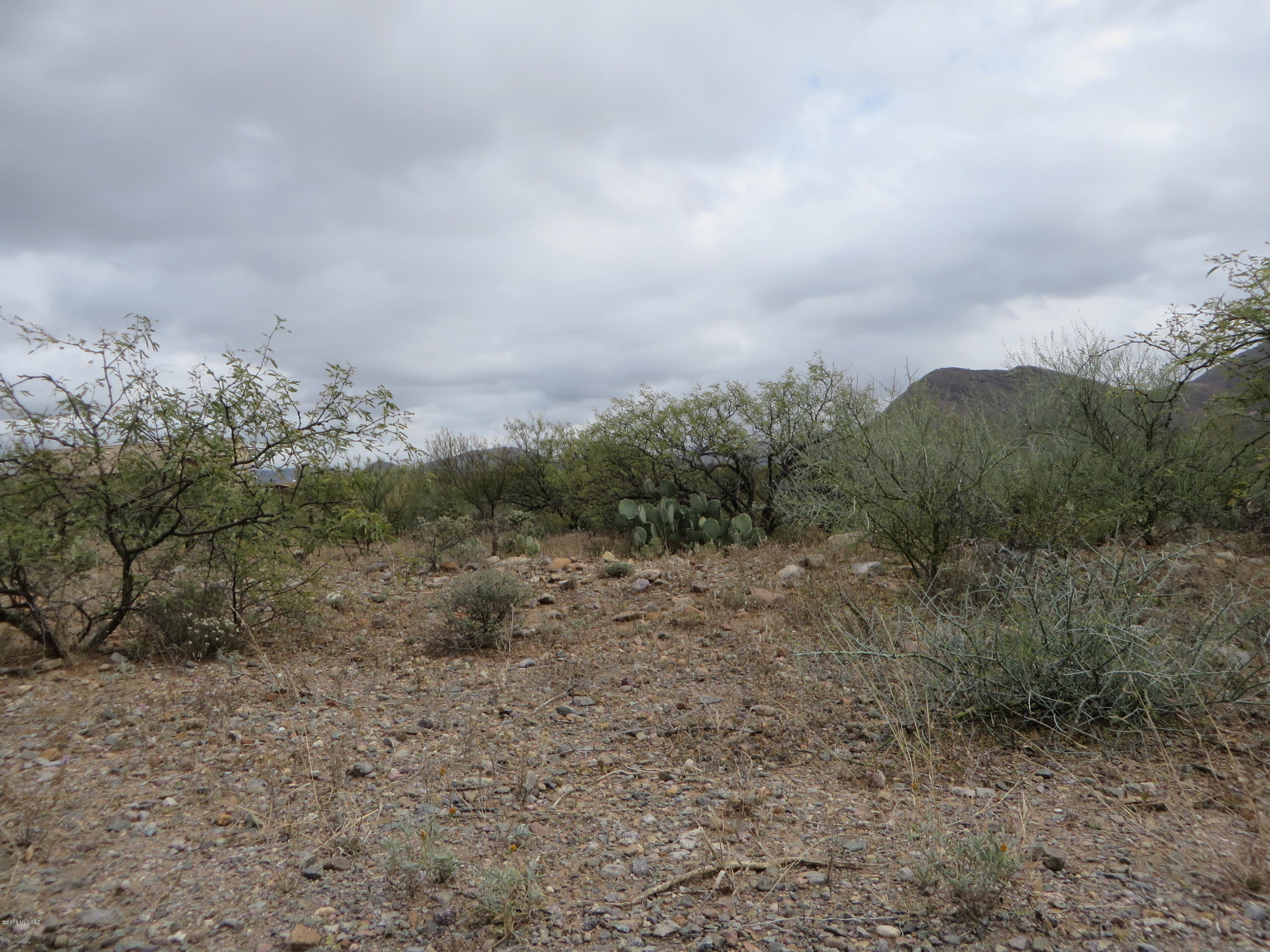 1918 Circulo Greco, Unit 248 Rio Rico, AZ 85648 - Photo 9 of 9