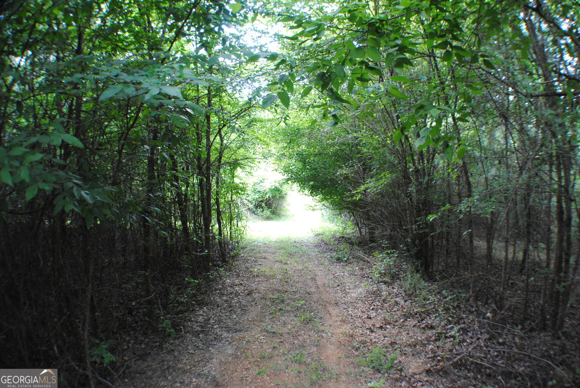 3602 Highway 41 Resaca, GA 30735 - Photo 10 of 12