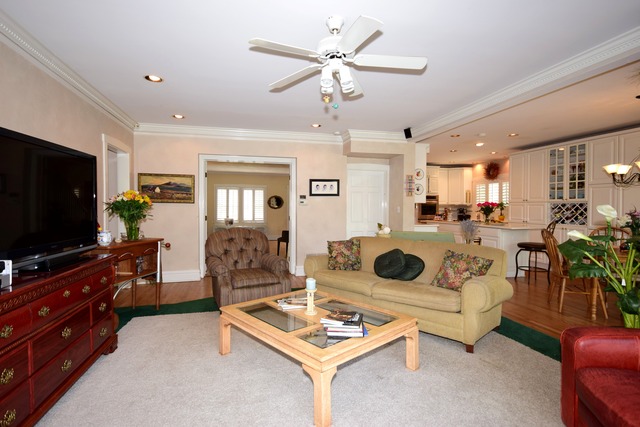 323 North Merrill Street Park Ridge, IL 60068 - Photo 6 of 25 a living room with furniture and a flat screen tv