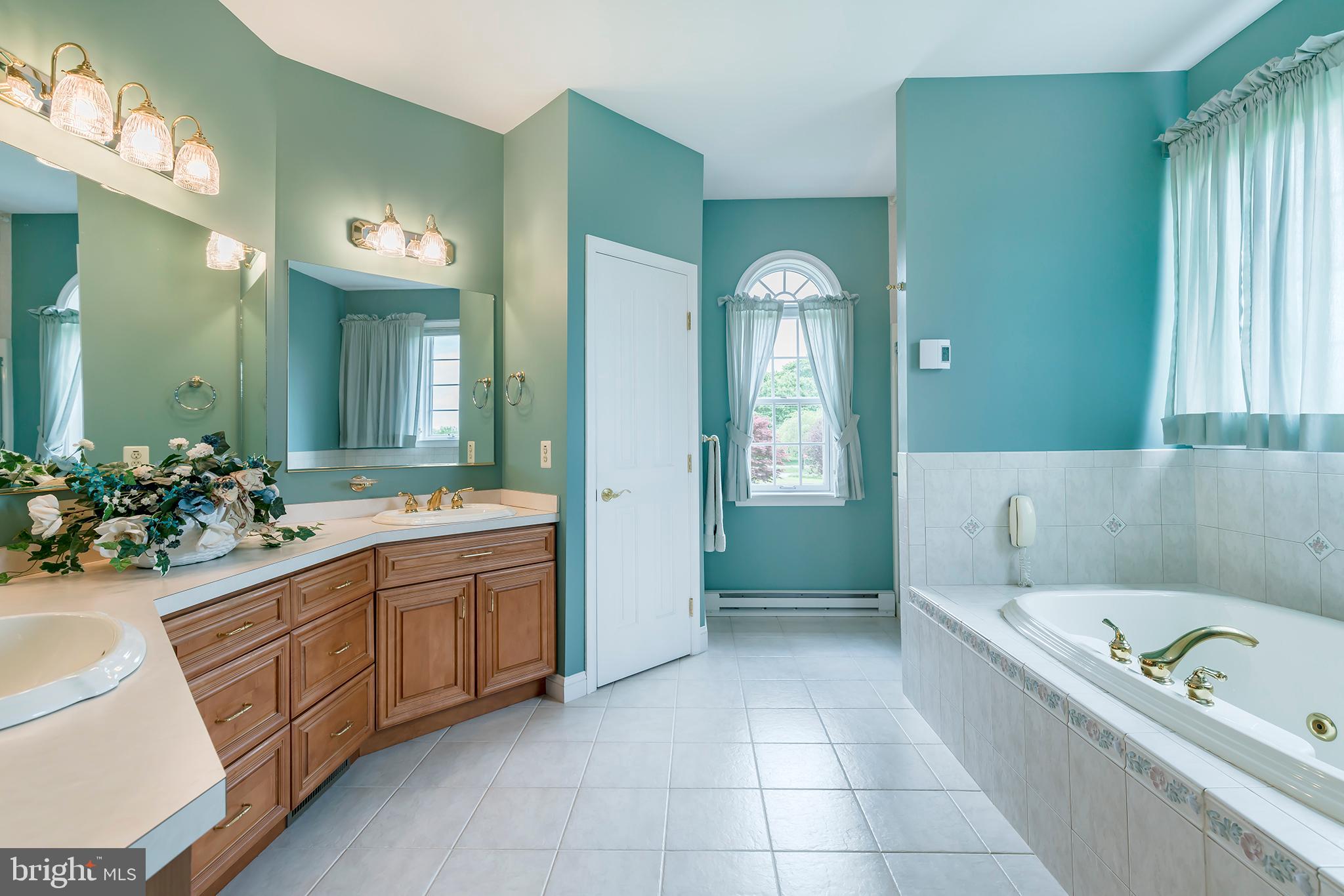 220 Sleepy Hollow Road Nottingham, PA 19362 - Photo 31 of 47 Master bathroom and whirlpool tub