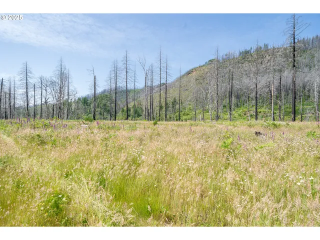 $799,900 | 51789 Gates Bridge East, Gates, OR 97346