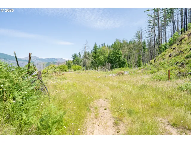 $799,900 | 51789 Gates Bridge East, Gates, OR 97346