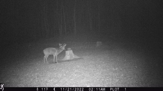 0 Us Rt 50 Bainbridge, OH 45612 - Photo 15 of 29 15