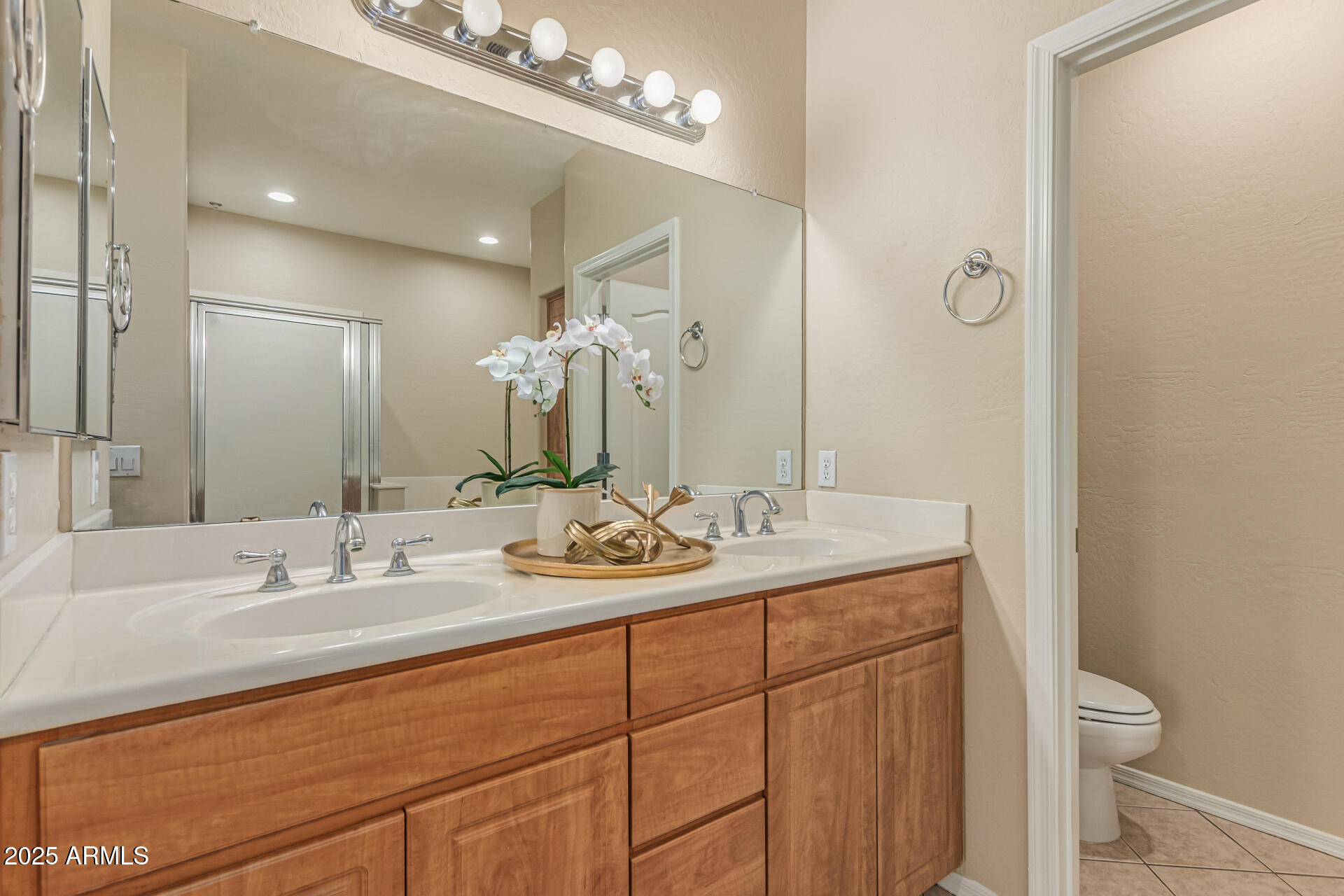 705 West Queen Creek Road, Unit 1201 Chandler, AZ 85248 - Photo 20 of 51 a bathroom with a granite countertop sink a toilet and a mirror
